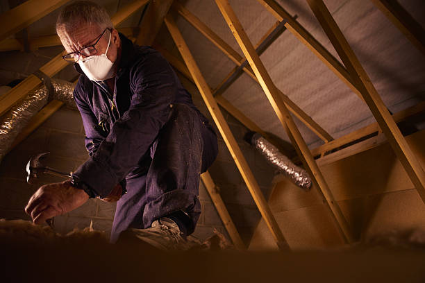 Best Home Insulation Services  in Gananda, NY